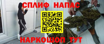 ECSTASY Гатчина