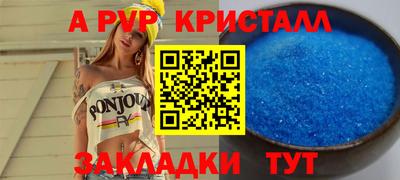 ECSTASY Гатчина