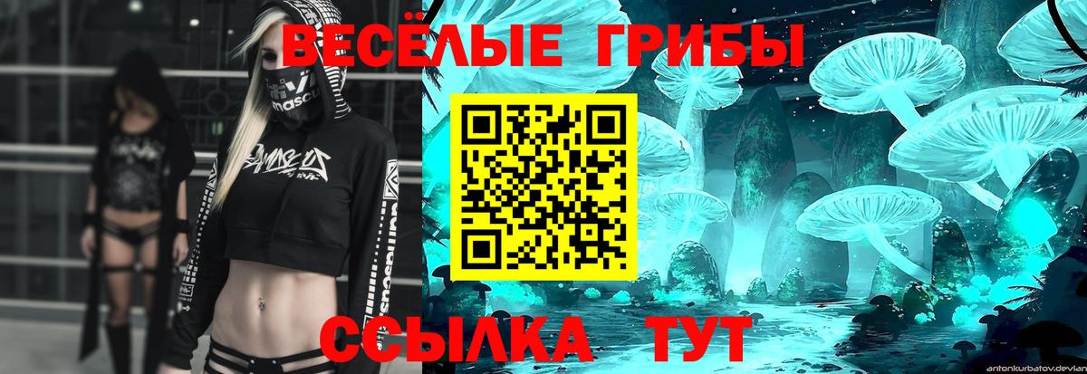 Псилоцибиновые грибы Psilocybe Можайск