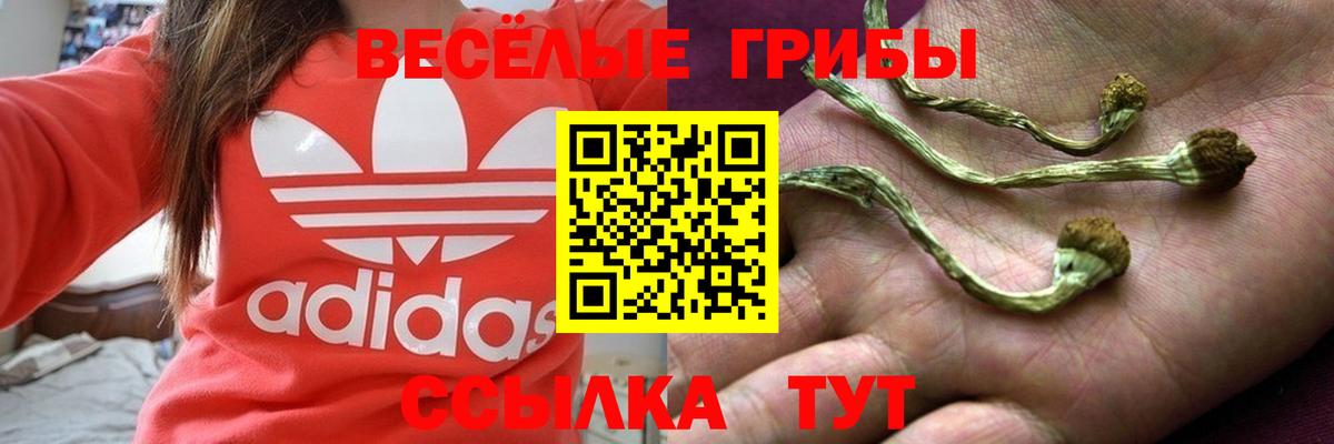 Галлюциногенные грибы MAGIC MUSHROOMS  Галлюциногенные грибы Psilocybine cubensis  Вход с VPN  Можайск 